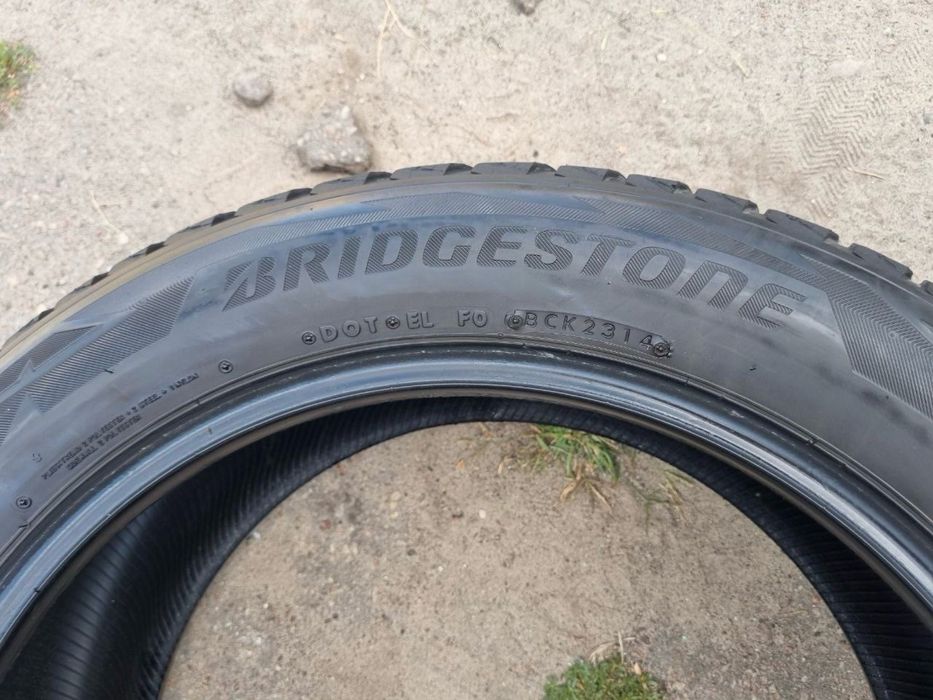 Шини Bridgestone Blizzak DM-V2 235/55 R19 пара