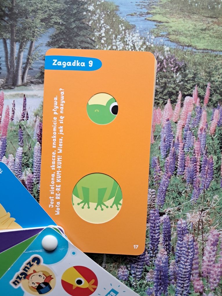 Zagadki Czuczu Kapitan Nauka 2-3 lata