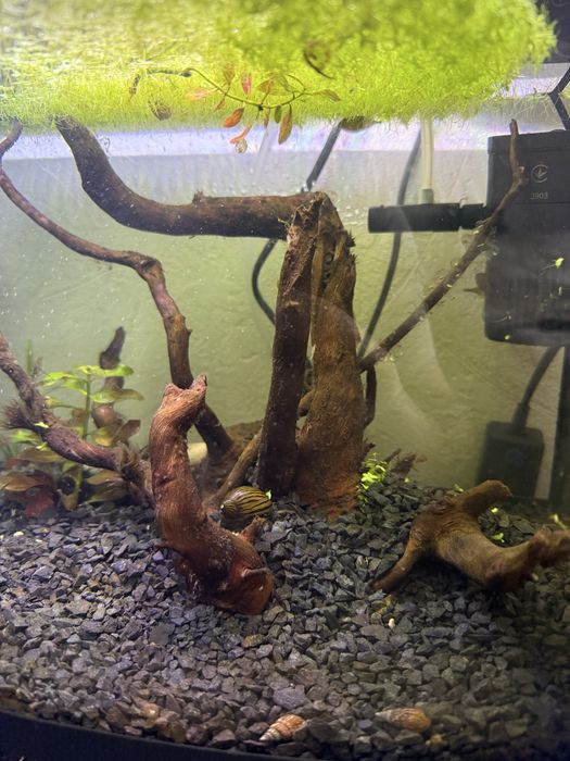 Акваріум 34 літри