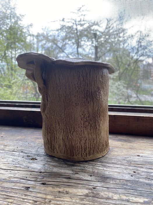 берег для черепашки в акваріум