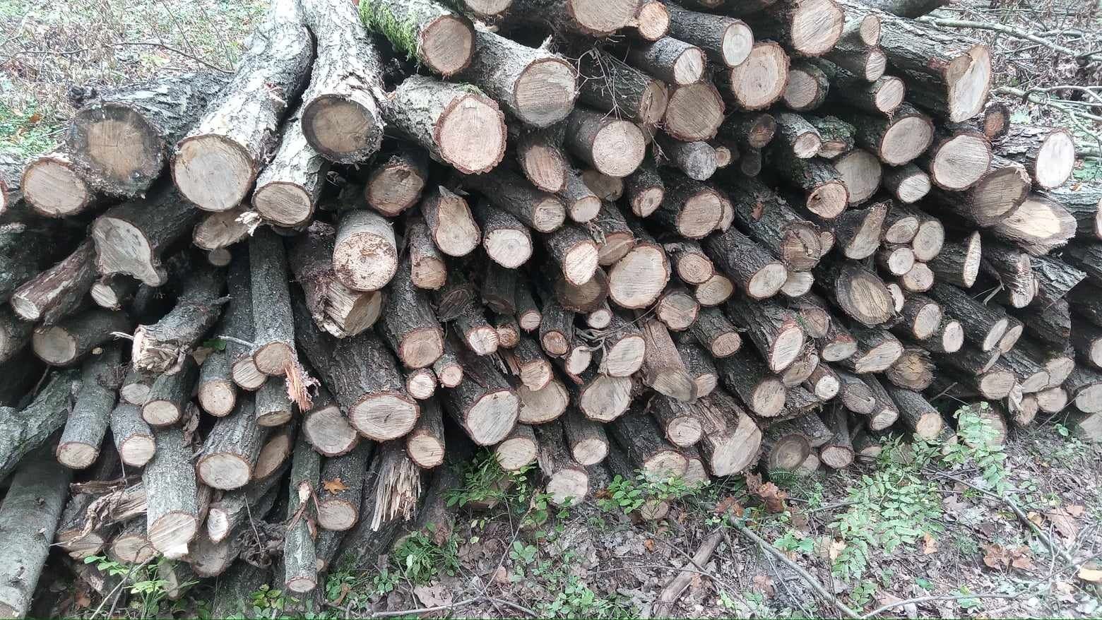 Drewno opałowe - kominkowe, BARDZO DOBRA JAKOŚĆ I CENA