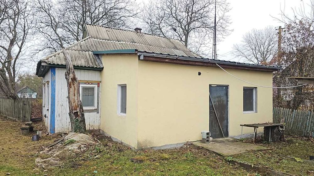 Сусідка і Я розповідаємо про будинок що продається. Є ВІДЕООГЛЯД.