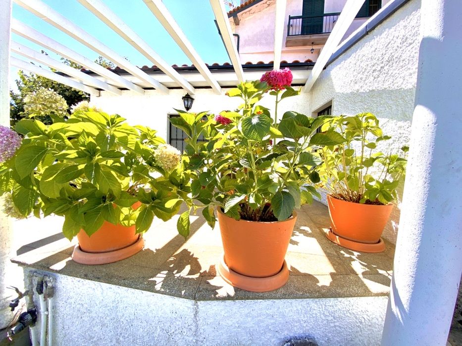 Vasos de Exterior