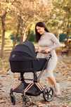 Коляска Cybex Priam 2023