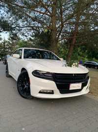 Auto do ślubu DODGE CHARGER, wynajem samochodu na wesele