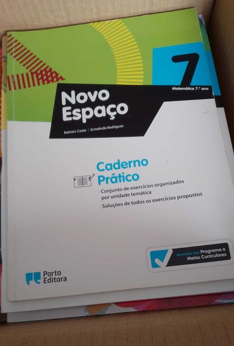 Matemática-Caderno de atividades - Recuperar nas férias