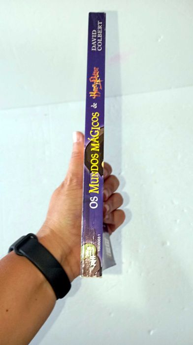 Os Mundos Mágicos de Harry Potter