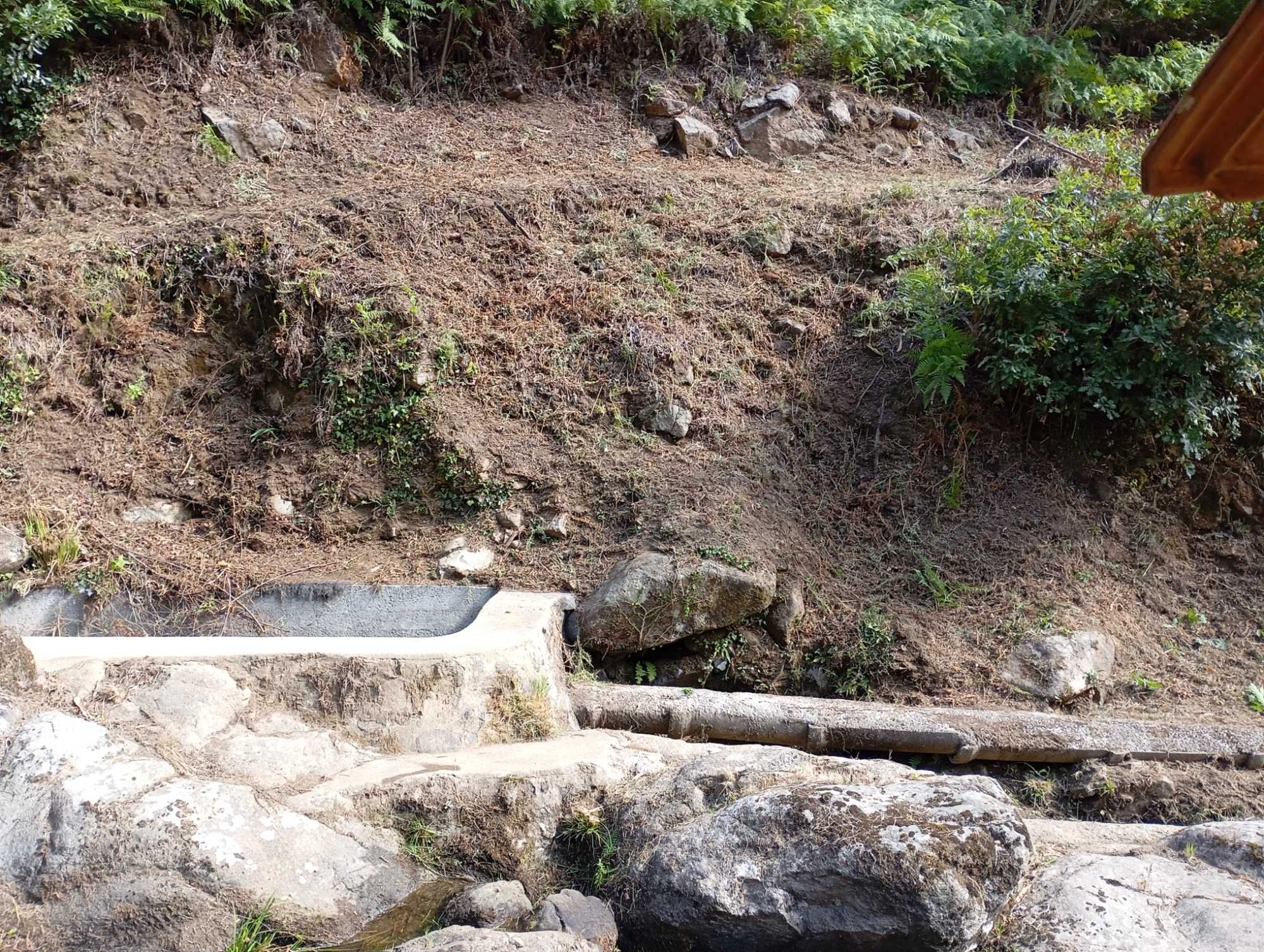 Limpeza de terrenos