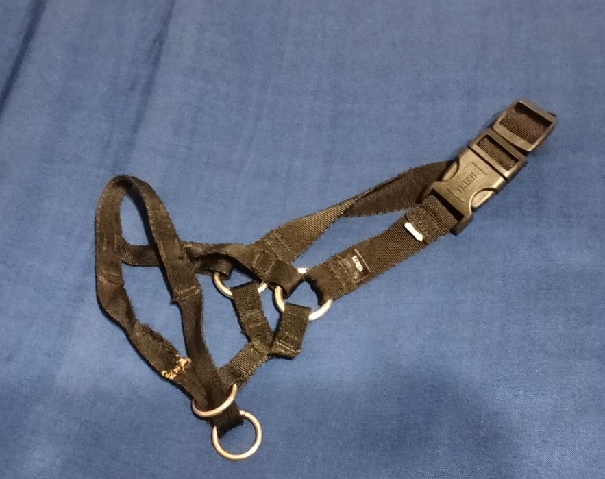 Kantar Trixie dla psa