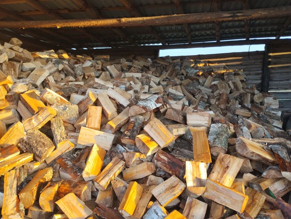 Suche Drewno opałowe sosna. buk.brzoza olcha