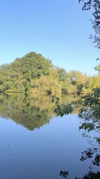 Оренда будинку, ферми, склад, територія, корівник, поле для випасу