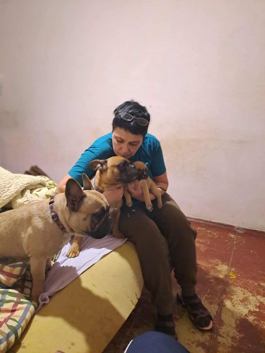 Отдам щенков в хорошие руки