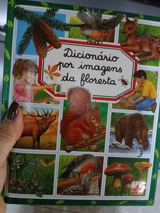 Livro infantil para crianças