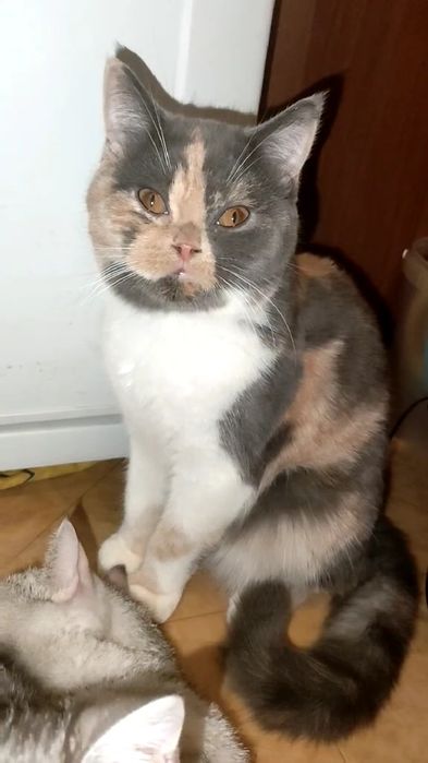 Яркая сочная карамелька. Девочка.