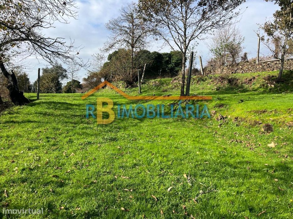 Quinta "Casa do Afonso" em Várzeas - Alvarenga