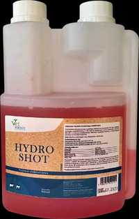 HYDRO SHOT elektrolity w płynie dla krów wisagro