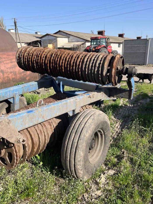 Котки КЗК 6 2006