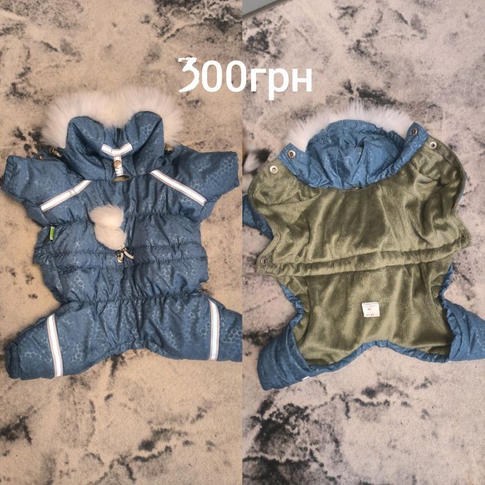 Одяг для собак маленьких порід