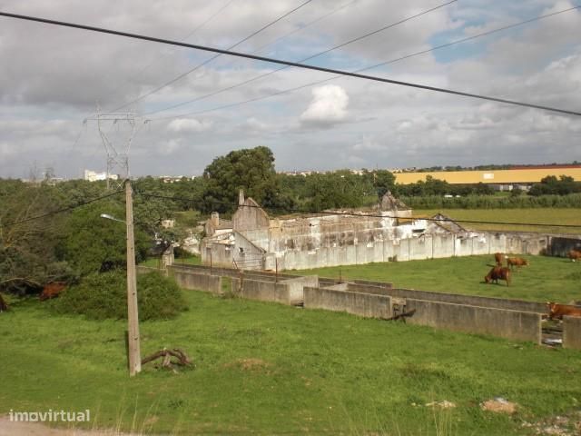 Terreno Rústico com 126.500 m2 - Sarilhos Grandes - Montijo