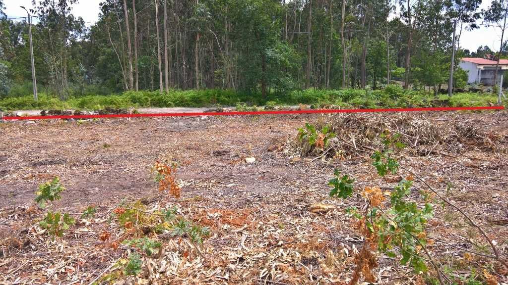 Terreno rústico com 5900m2 em Redundo, Monte Córdova - Santo Tirso