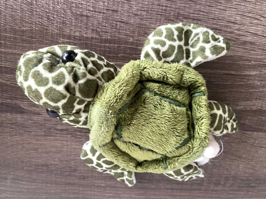 Tartaruga peluche brinquedo