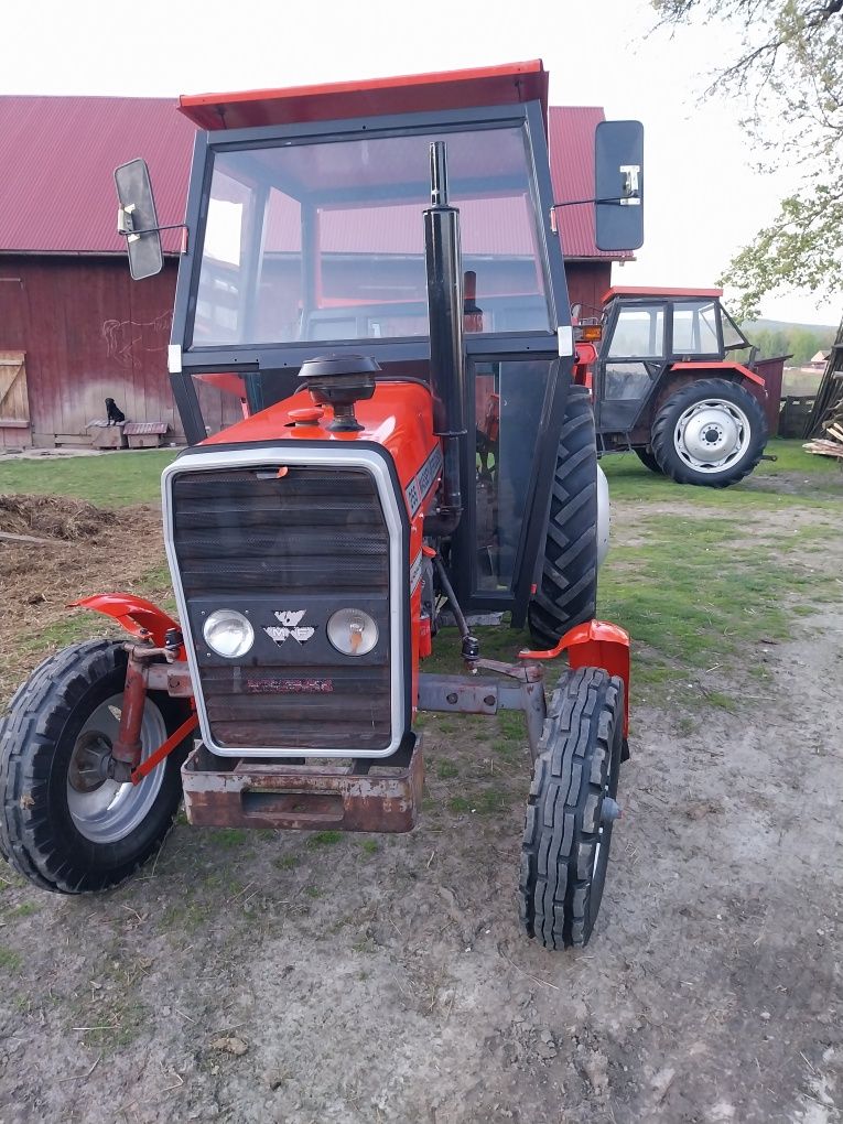 Ferguson Massey 255 Ciągnik jest dobrze utrzymany 3512/2812