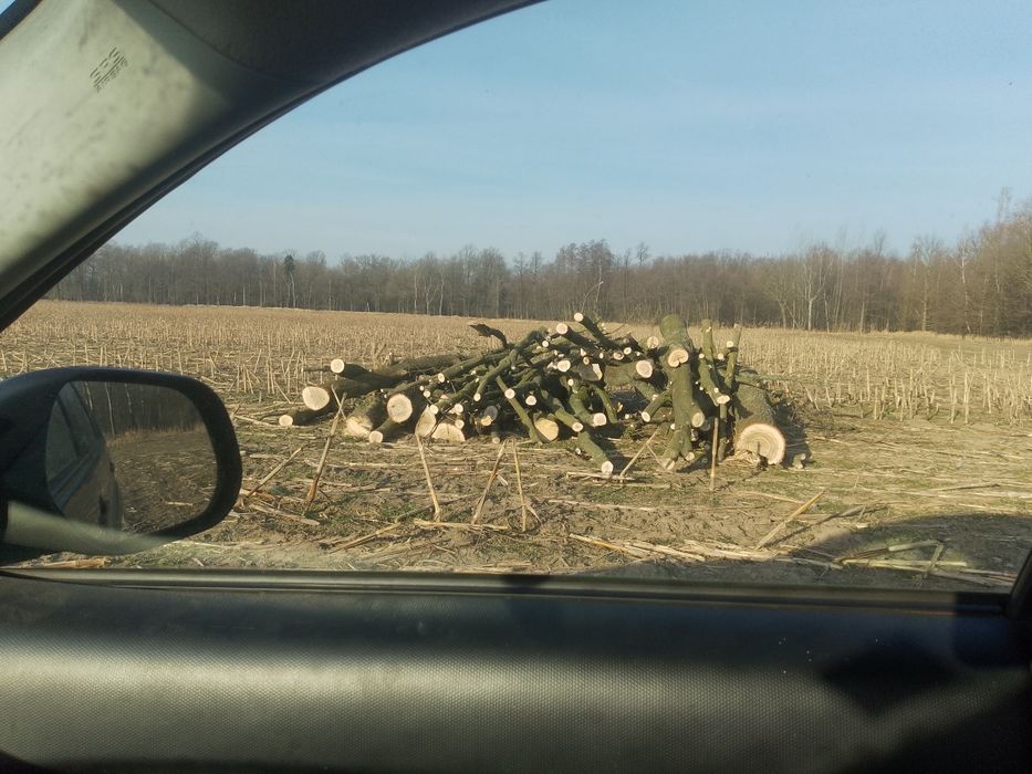 Sprzedam drewno 130/MP