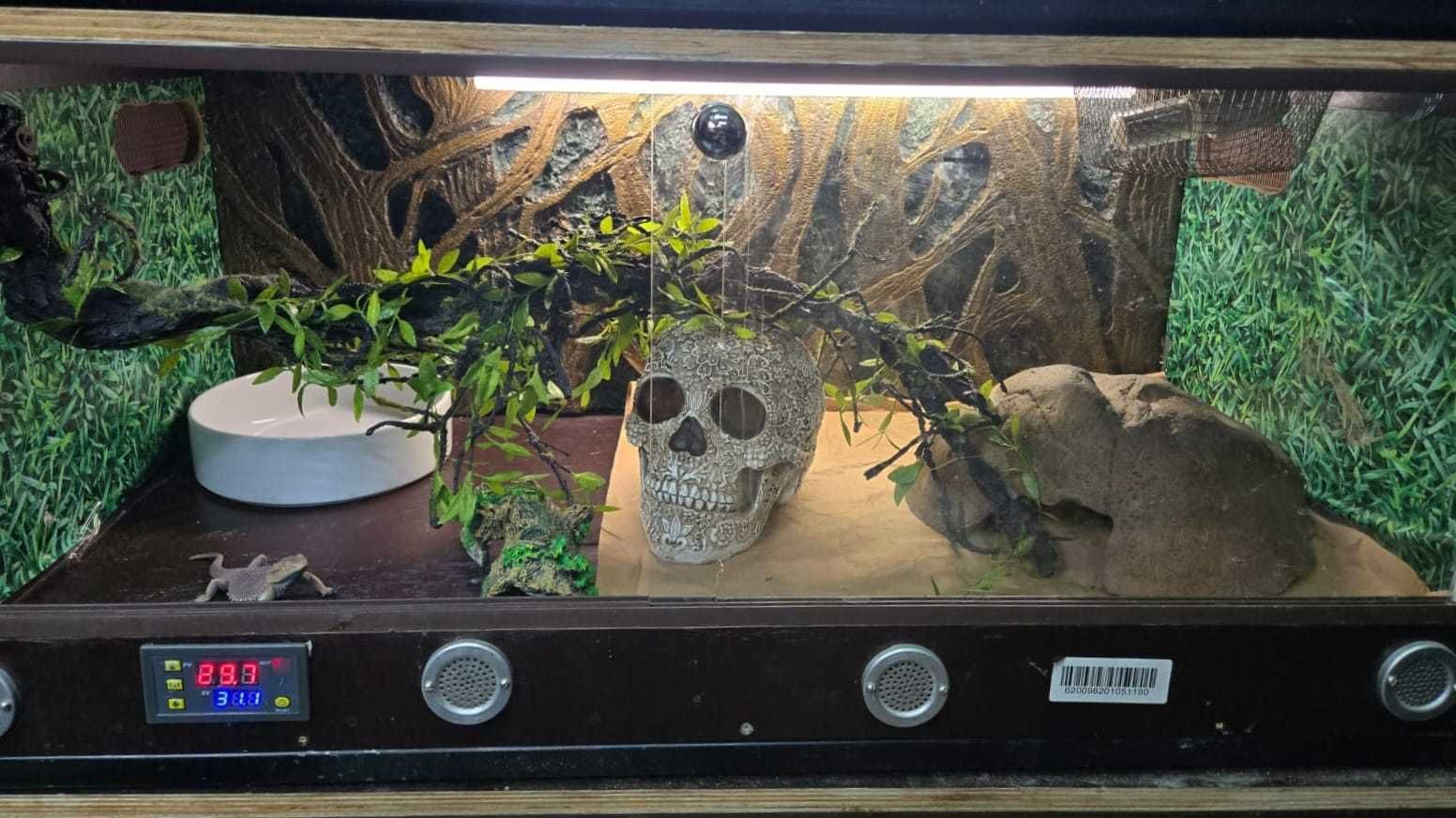 Terrário totalmente equipado (vários)