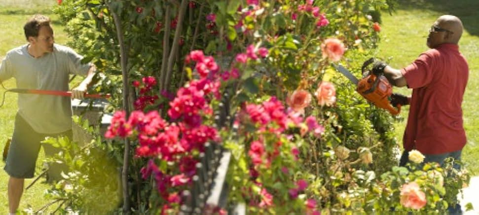 DVD Vizinho Suspeito