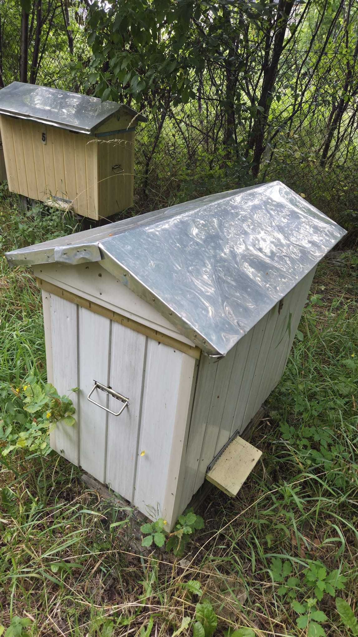 Sprzęt pszczelarski – ule, izolatory,