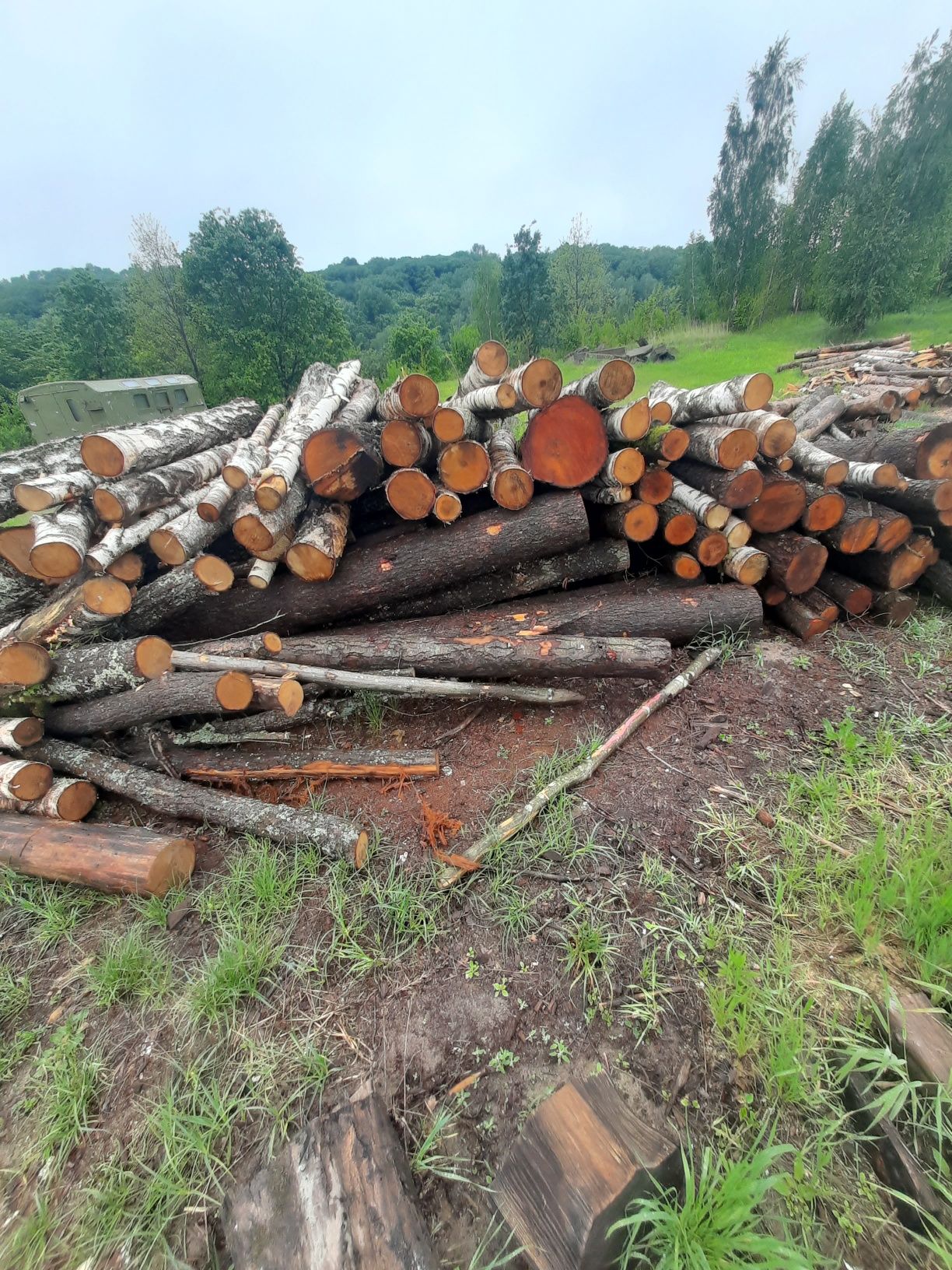 Продам дрова рівненьська область