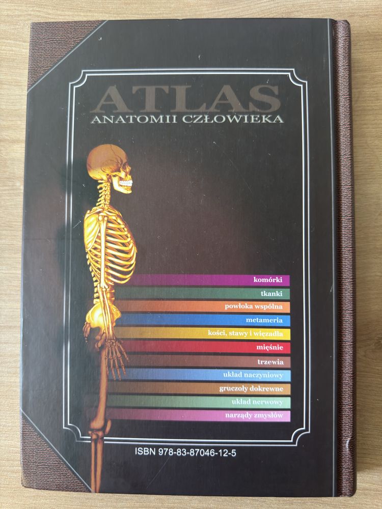 Atlas anatomii człowieka Adam Zborowski