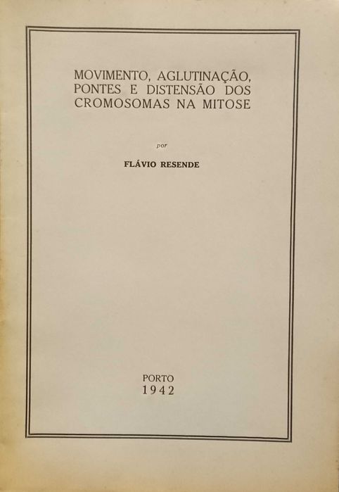 Movimento, Aglutinação, Pontes e distensão dos Cromosomas na Mitose