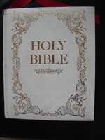 Biblia Holy Bible