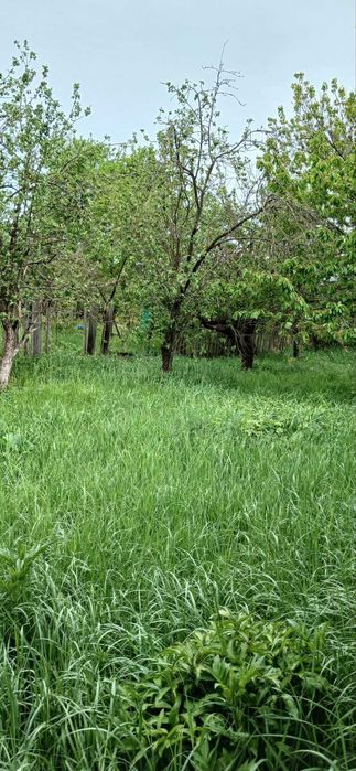 Продається будинок в с. Соснове, Черкаської обл. - 8000 у.о