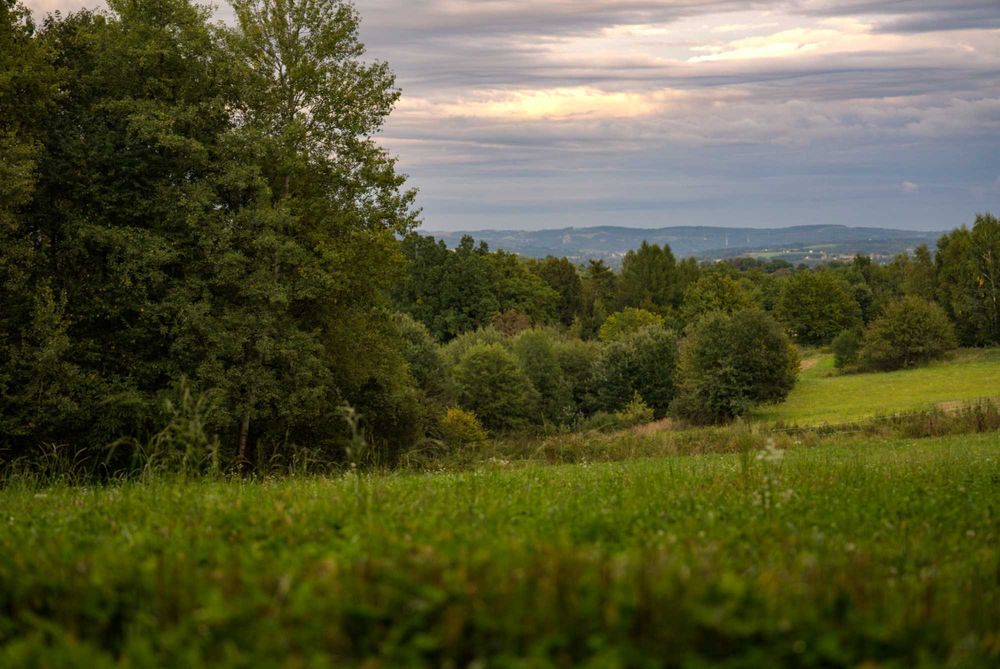 Działka w Cieszynie