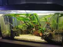 Akwarium Aquael 120l