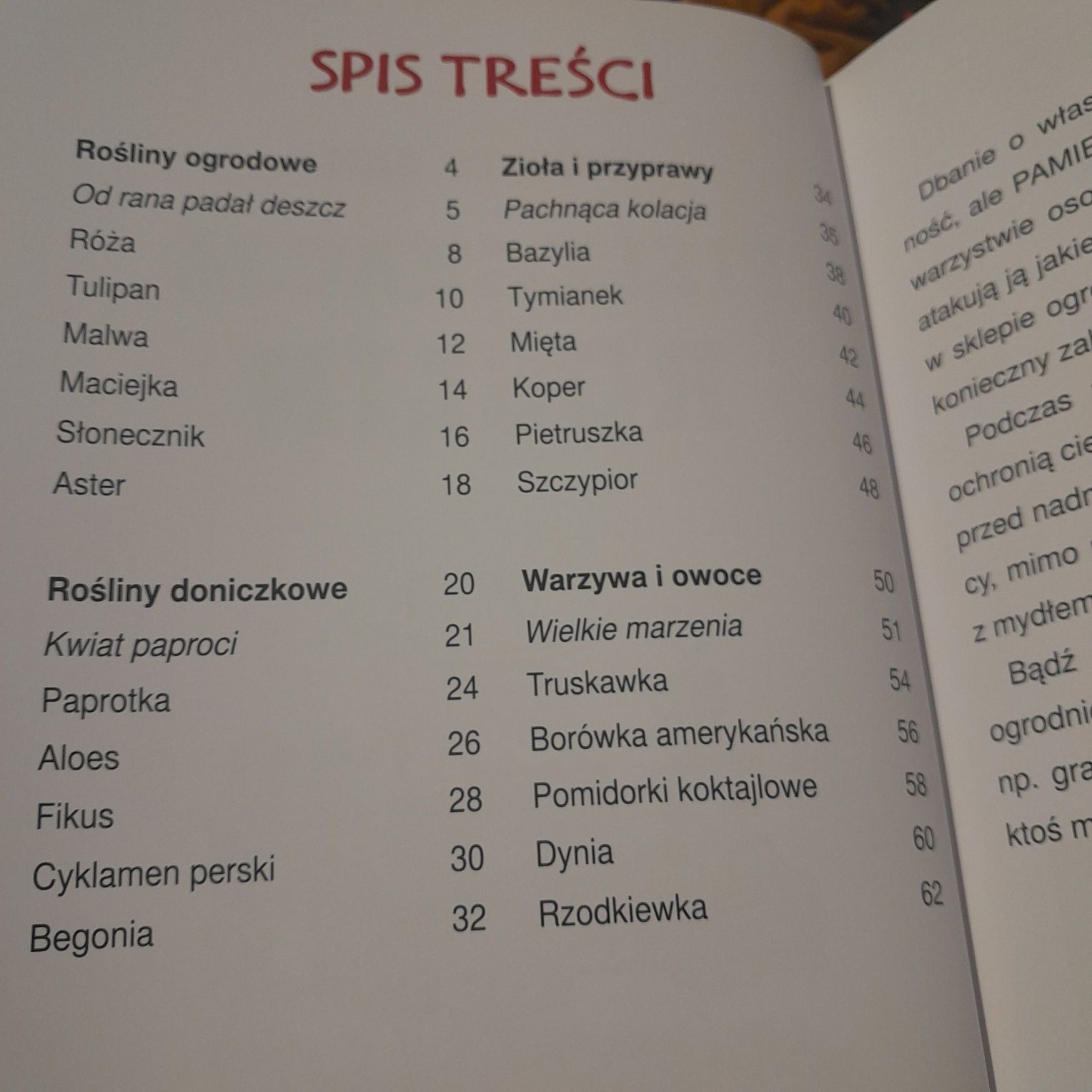 Format a4 Nowa książka Zrób to sam Pielęgnacja roślin dla dzieci