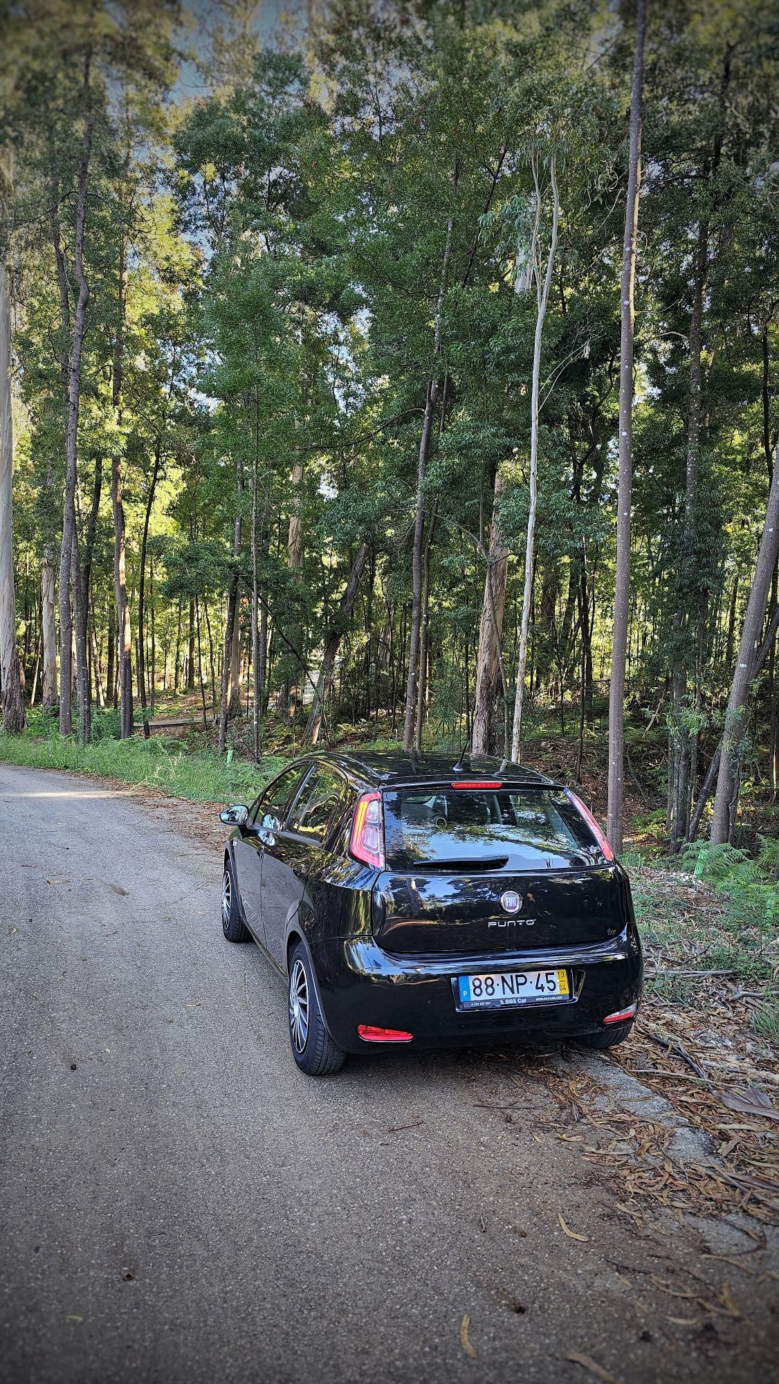 Fiat Punto EVO bi-fuel
