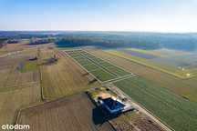 Działki z WZ** Niewodnica Nargilewska** od 1050 m2