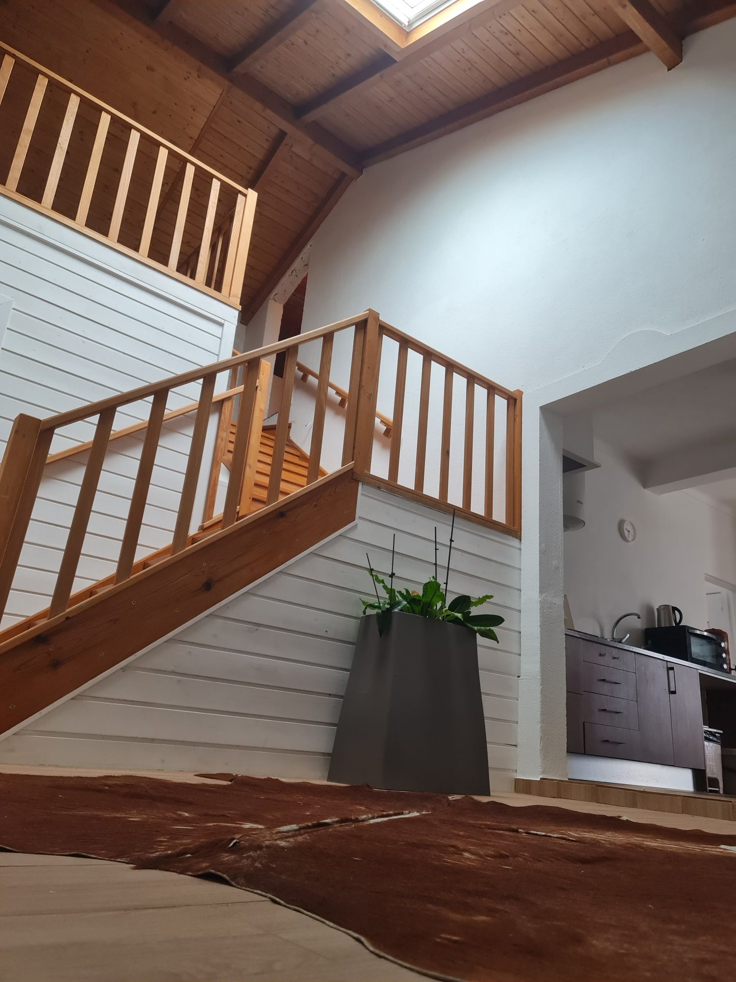 Quinta T3.  +2.    5000m²