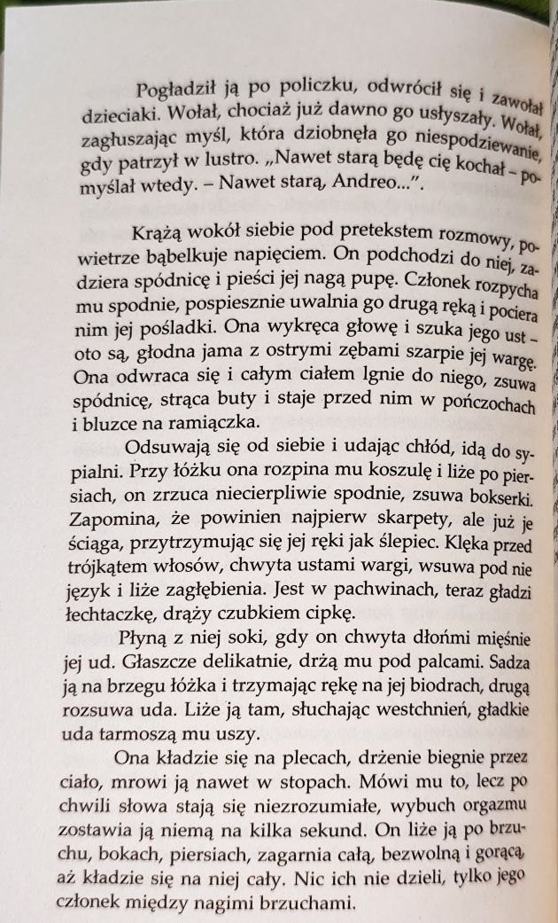 Nielegalne związki - Grażyna Plebanek