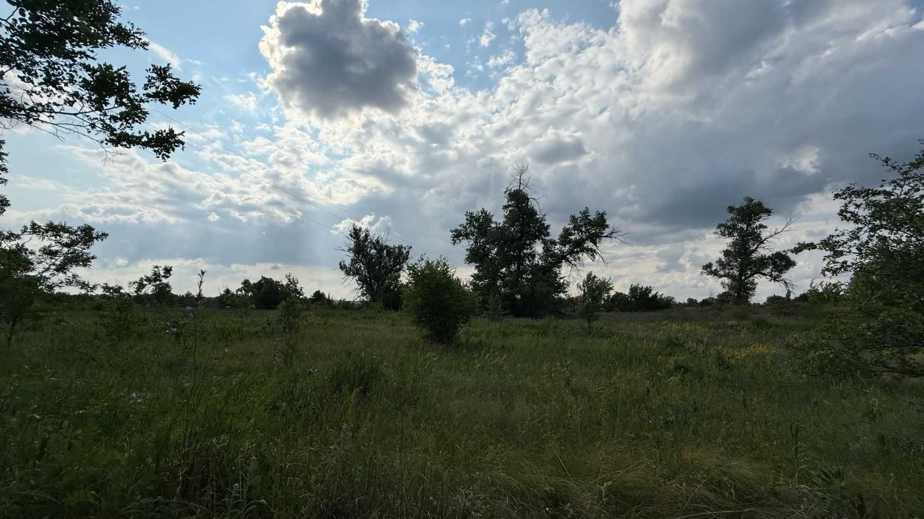 Продаж земельних ділянок в Царичанці