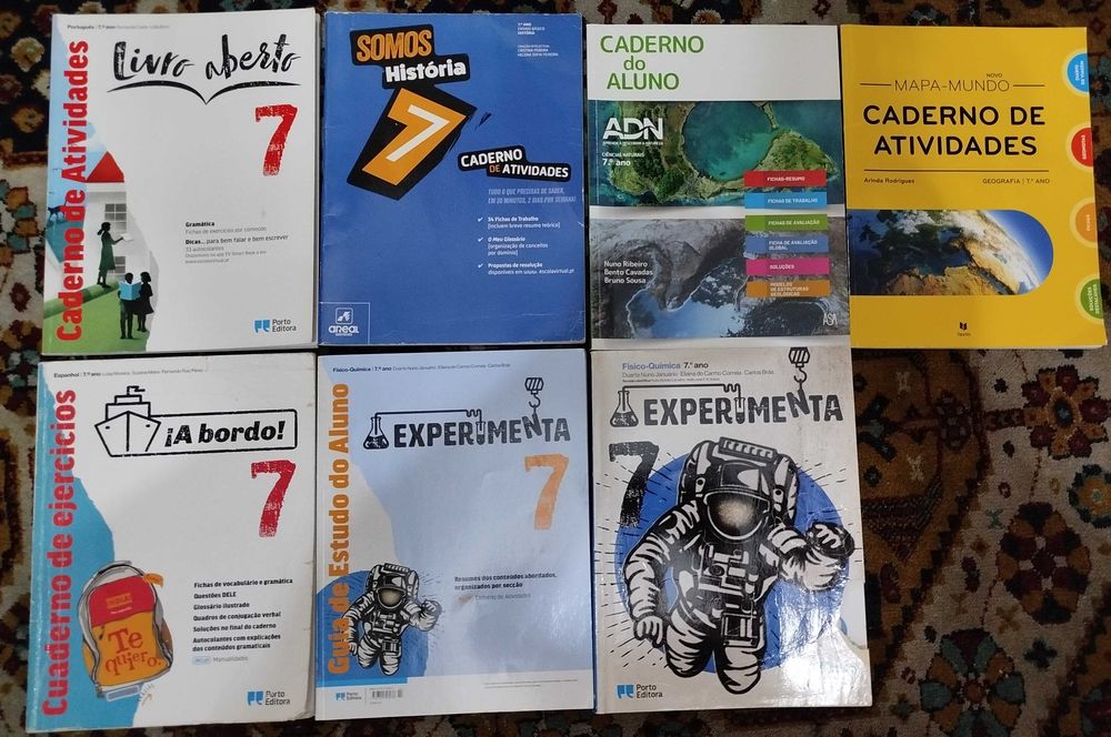 Livros manuais Escolares 6º 7º 8º anos e e Inglês