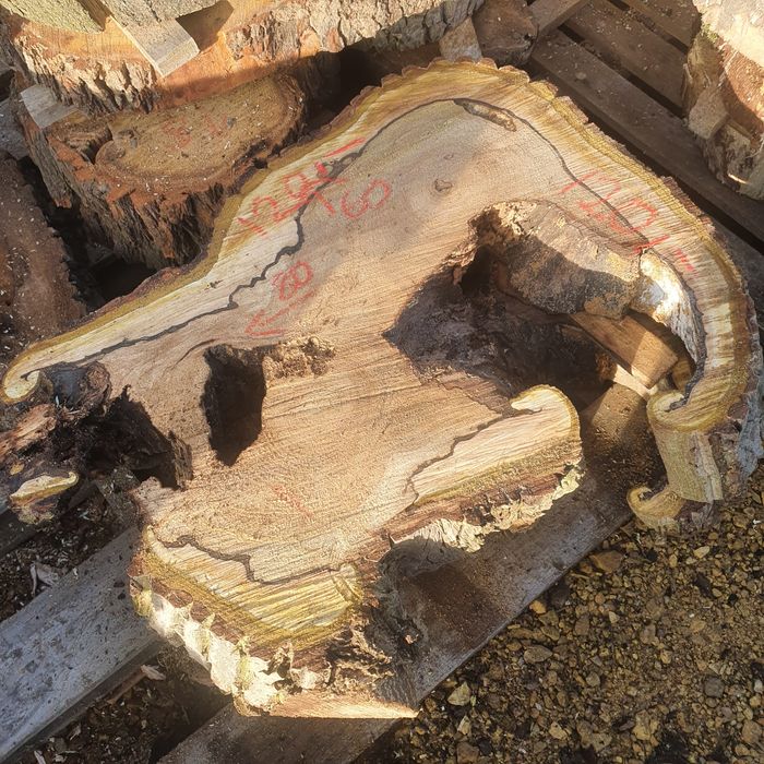 Plastry drewna na stoliki kawowe