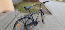 Rower Trek Multitrack 7300