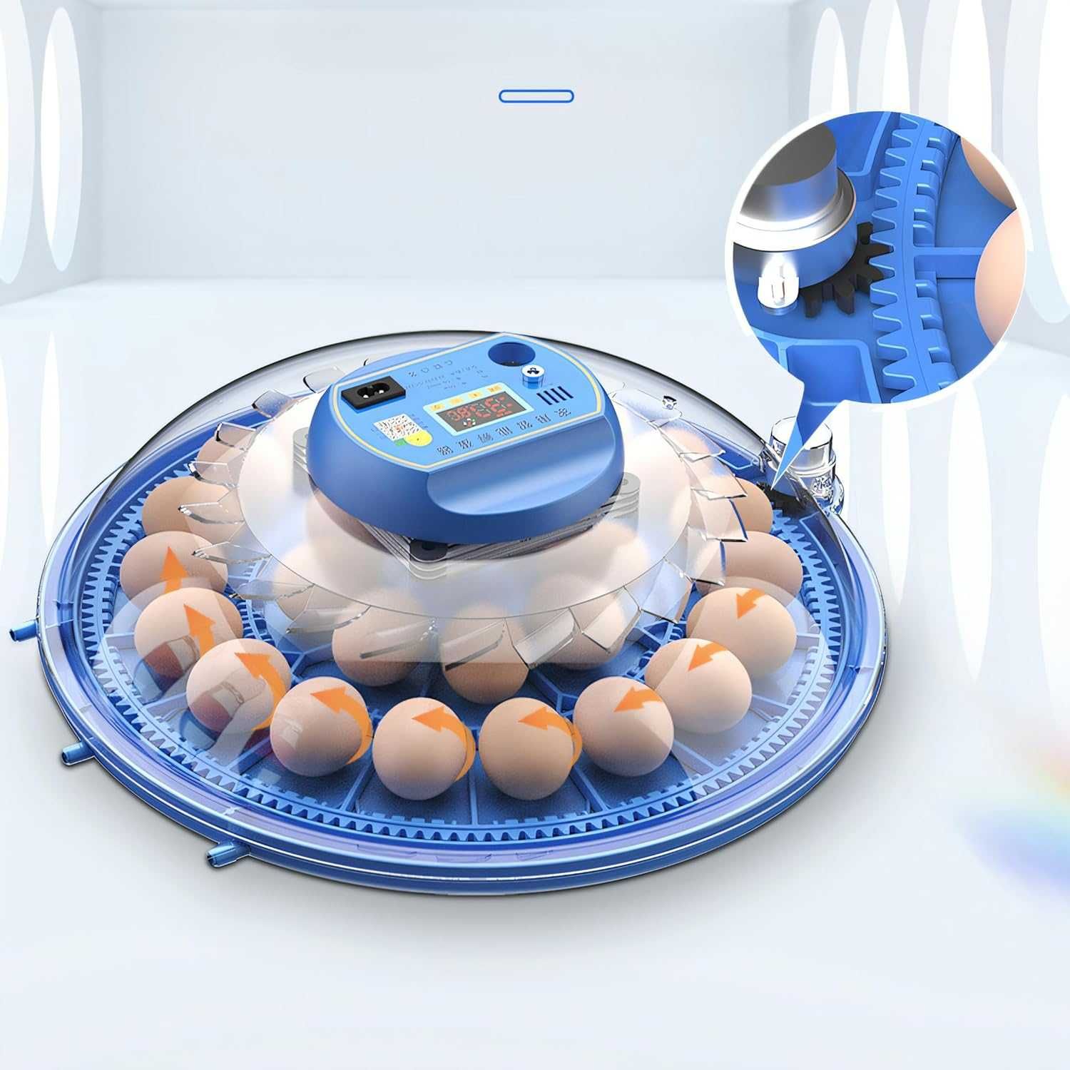 Chocadeira / Incubadora de 33 de Pássaros Ovos NOVA - Disponibilidade
