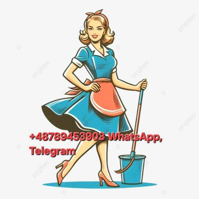Sprzątanie domów, mieszkań, apartamentów Poznań