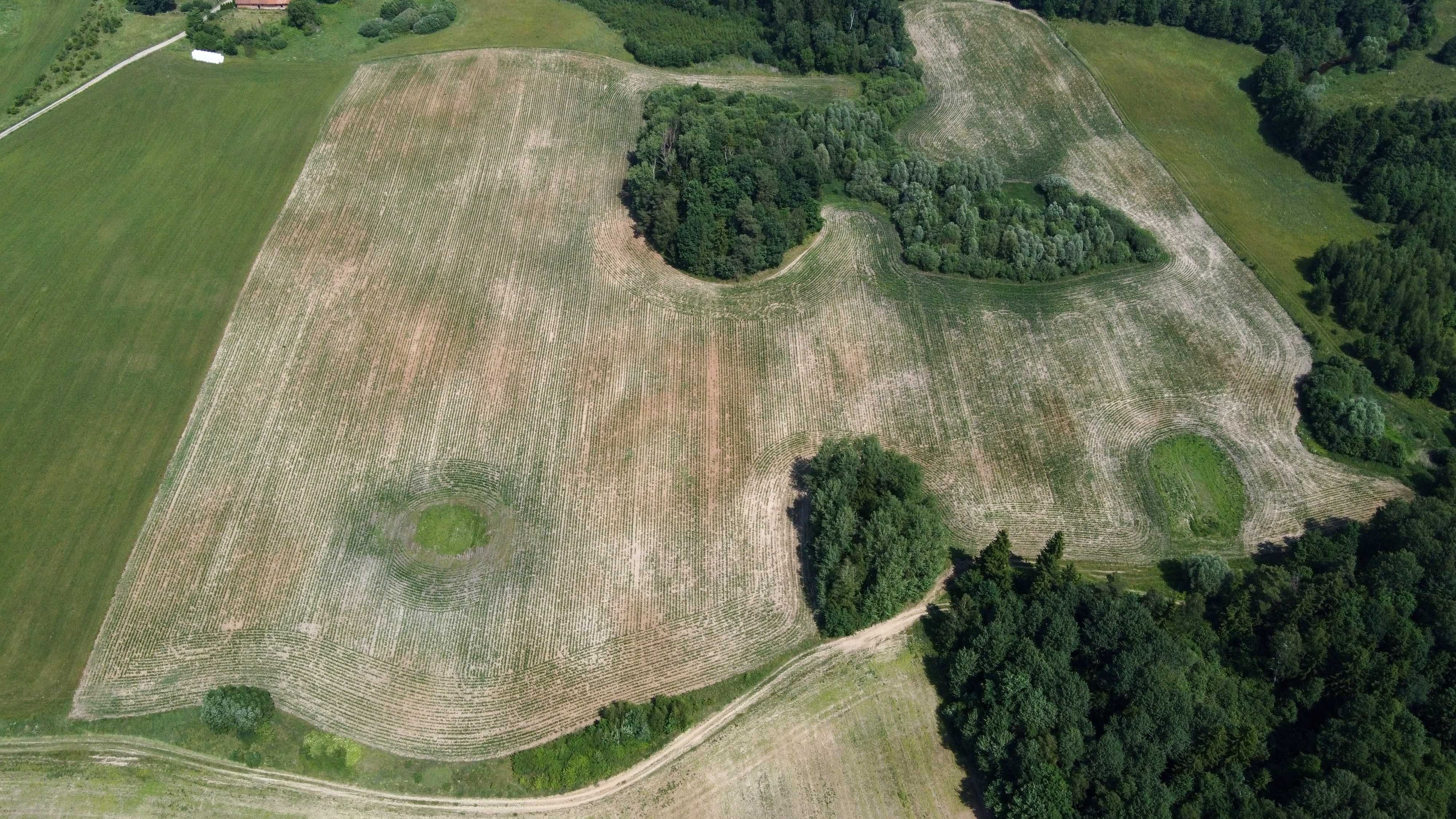 Grunty rolne, działka rolna 9.5 ha, okolice Ełku, Olecka