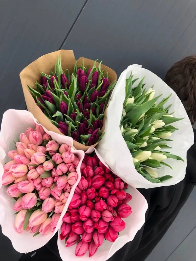 Цибулини тюльпанів дітки